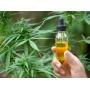 RoyalCBD