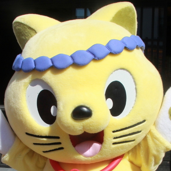l^摜