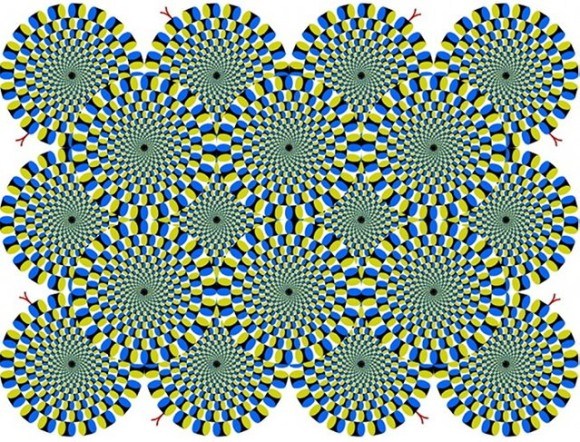 l^摜