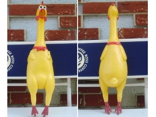 rbOTCYII@shrilling chicken@VEeBO`L