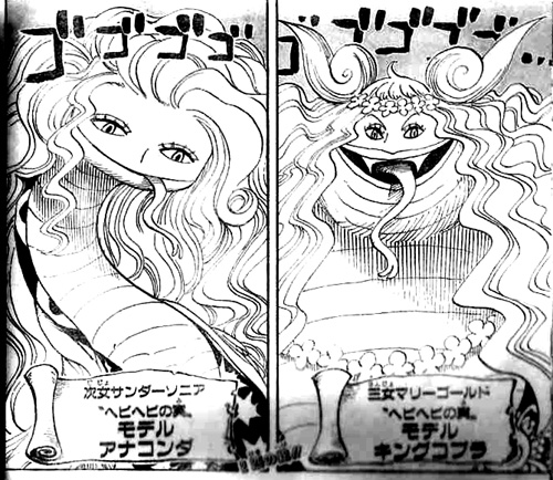 第519話 王の資質 ヘビヘビの実 覇王色の覇気 One Piece ワンピース 道場 アニメ 漫画 まにあ道 趣味と遊びを極めるサイト
