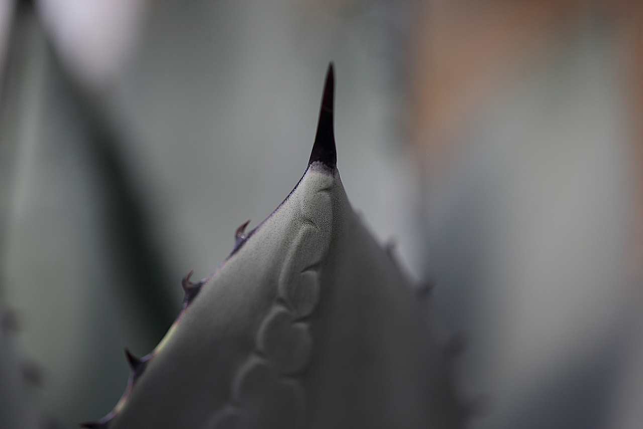 l^摜