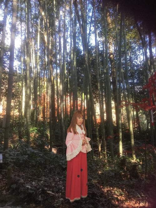 l^摜