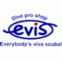 dive-evis