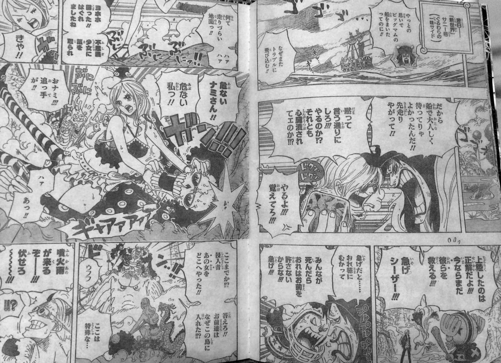 第795話 自殺 百四皇獣のカイドウ登場 趣味自殺 オニオニの実 動物系悪魔の実の手下 One Piece ワンピース 道場 アニメ 漫画 まにあ道 趣味と遊びを極めるサイト