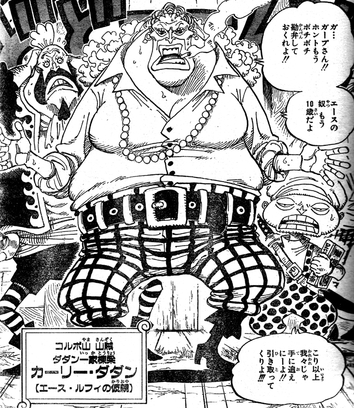 第5話 ルフィとエース ローの一団アマゾン リリーへ 目覚めたルフィ 仮親カーリー ダダン登場 One Piece ワンピース 道場 アニメ 漫画 まにあ道 趣味と遊びを極めるサイト