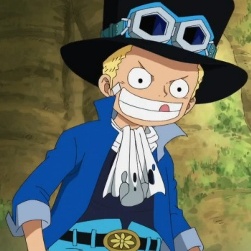 トラファルガー ローがサボ 徹底検証してみた One Piece ワンピース 道場 アニメ 漫画 まにあ道 趣味と遊びを極めるサイト