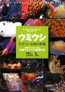 ウミウシ―生きている海の妖精