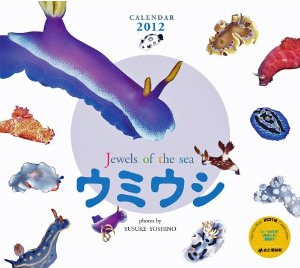 カレンダー2012 ウミウシ～Jewels of sea