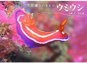 ウミウシ―不思議ないきもの