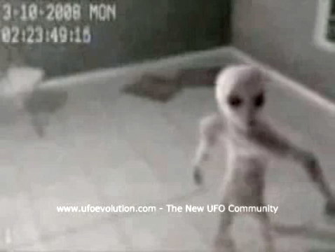 宇宙人グレイの監禁映像 Uma Ufo 未確認生物 未確認飛行物体 道場 学問 研究 まにあ道 趣味と遊びを極めるサイト
