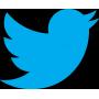 Twitter Followers