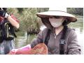 【愛知県牧野池 カメ調査2】 迷子亀さんを発見、飼い主さんの元へ！