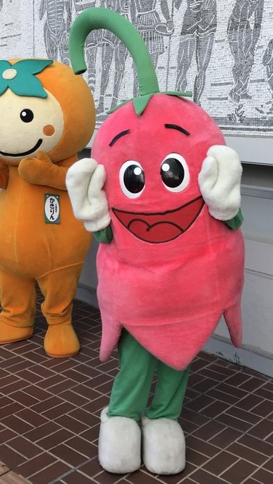 サーラちゃん 中津川市 ご当地キャラ大図鑑道場 エンターテイメント まにあ道 趣味と遊びを極めるサイト