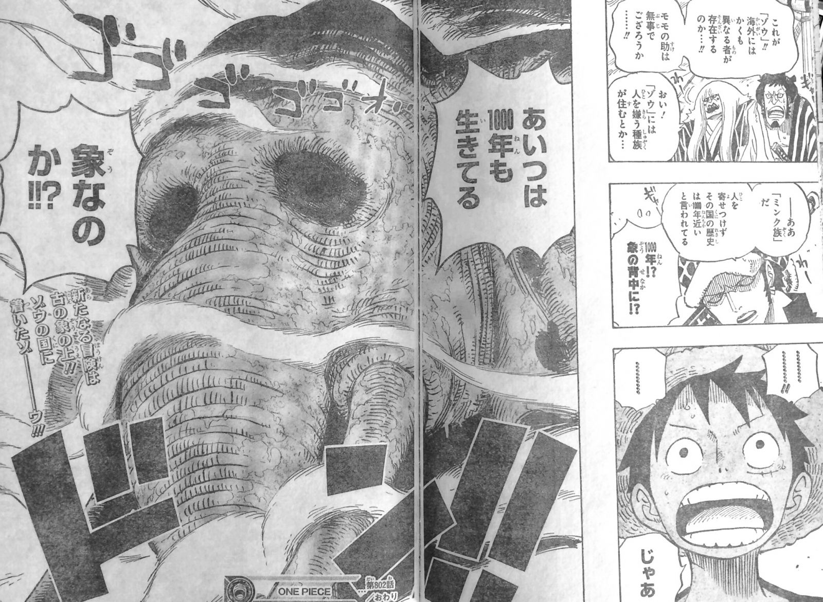 第802話 ゾウ 七武海エドワード ウィーブル登場 ゾウは象の背に 1000年栄えるミンク族 One Piece ワンピース 道場 アニメ 漫画 まにあ道 趣味と遊びを極めるサイト