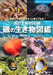 磯の生き物図鑑—海の生物450種