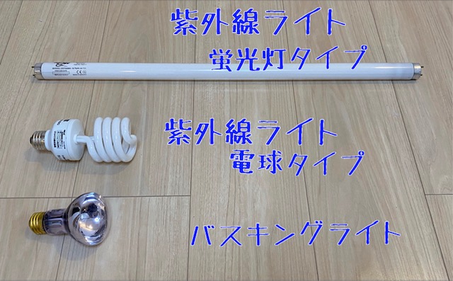 亀の飼育で使う ライトの種類と選び方 まとめ 年版 まゆみん解説 亀の飼育 大辞典道場 マニアーナ まにあ道 趣味と遊びを極めるサイト