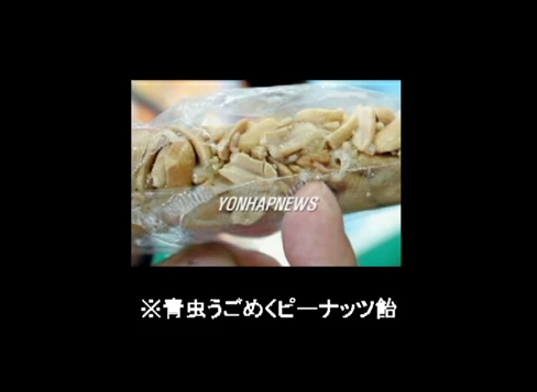 汚染されすぎている韓国産食品：青虫うごめくピーナッツ飴